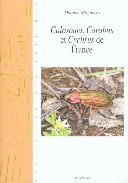 Calosoma, Carabus et Cychrus de France [Calosoma, Carabus and Cychrus of France]