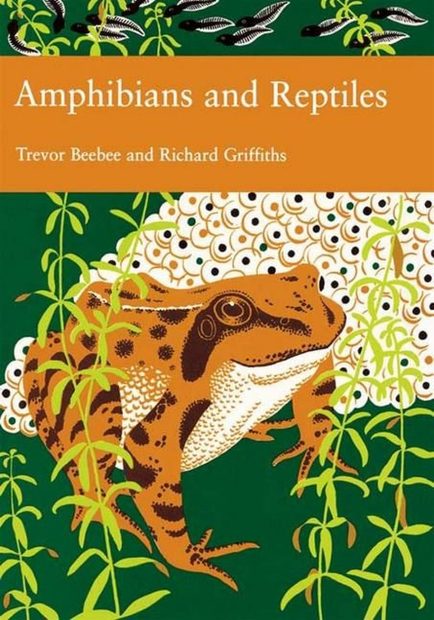 Amphibians and Reptiles