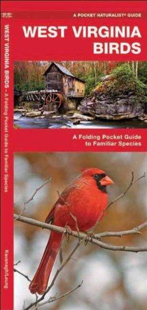 West Virginia Birds