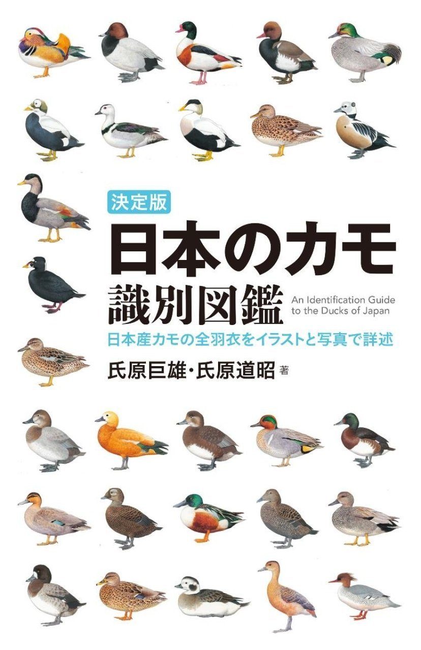 An Identification Guide To The Ducks Of Japan Japanese NHBS Field 