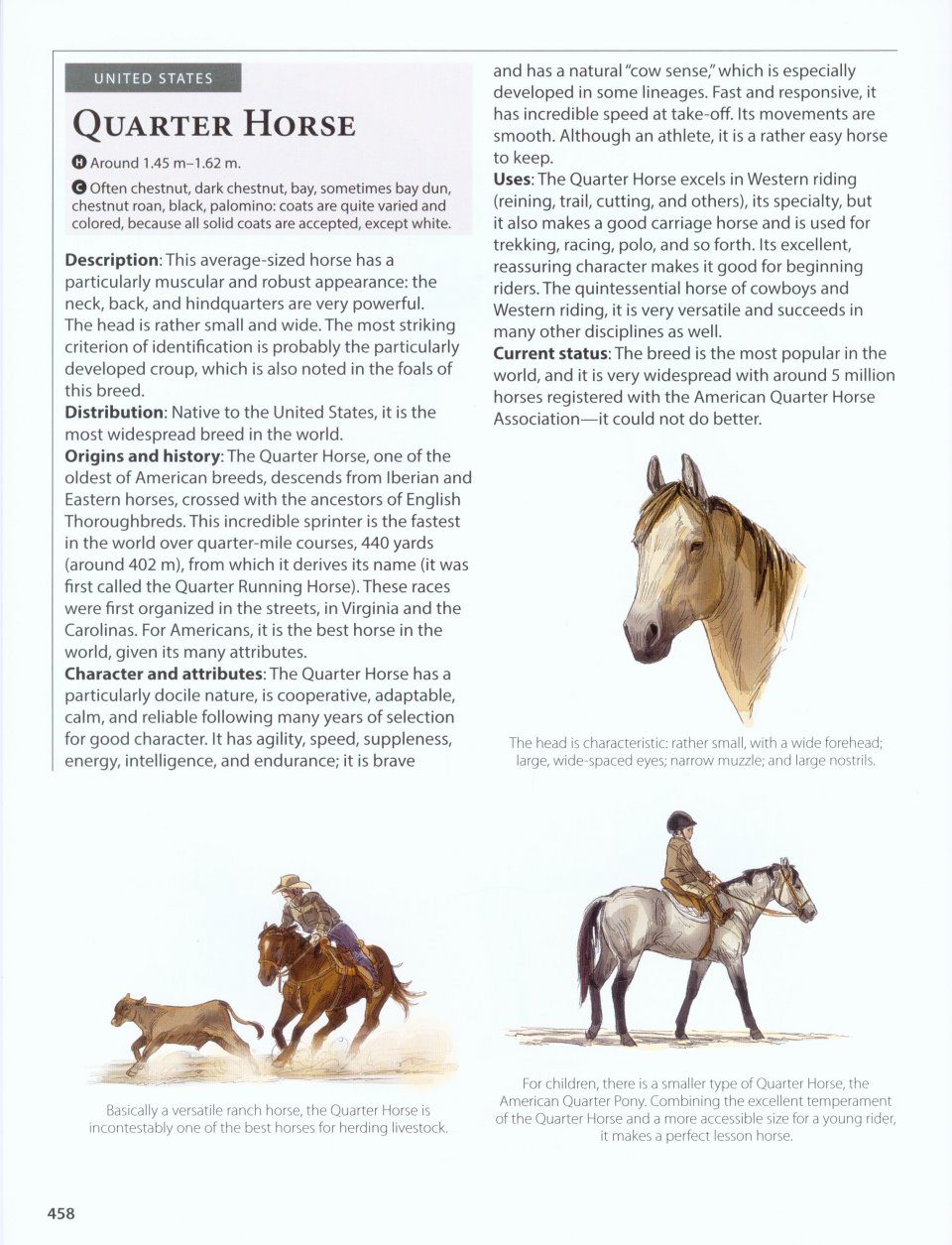 Horses Of The World Nhbs Academic Amp Professional Books