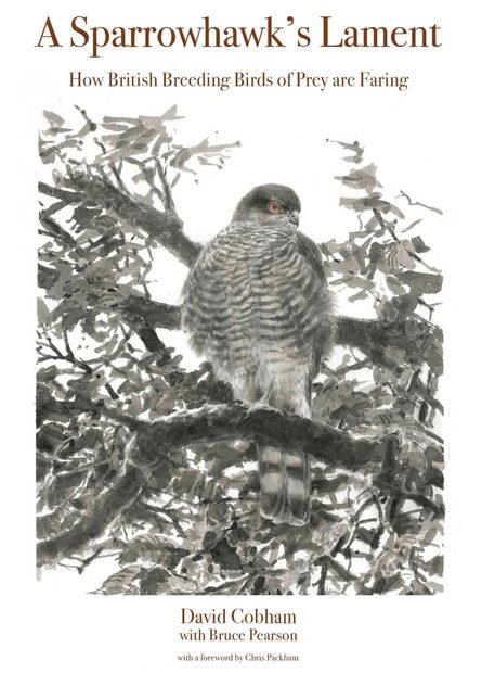 A Sparrowhawk's Lament
