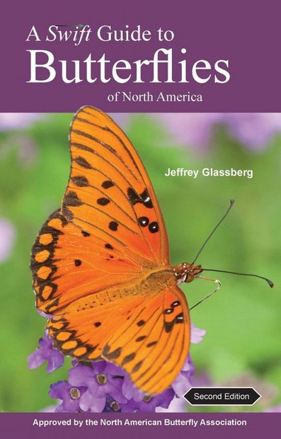 A Swift Guide to Butterflies of North America