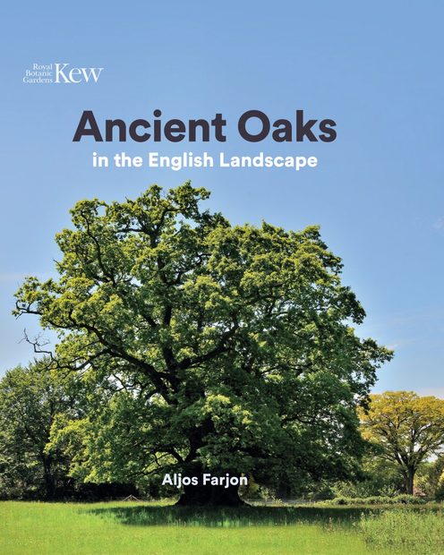Ancient Oaks in the English Landscape