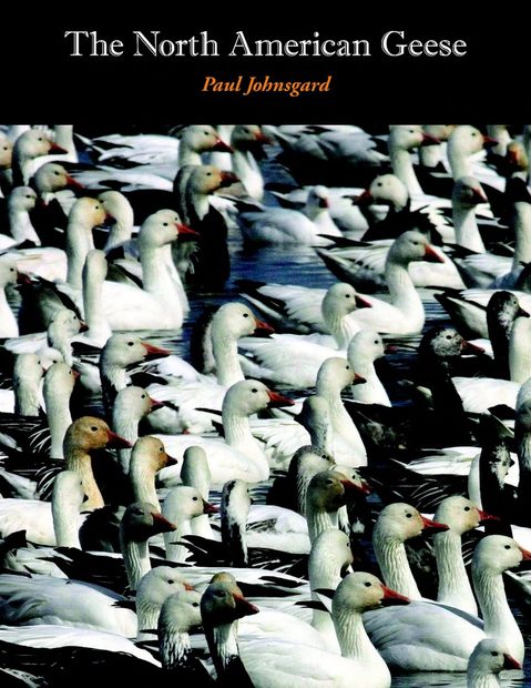 The North American Geese