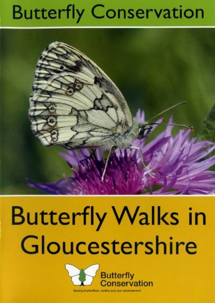 Butterfly Walks in Gloucestershire