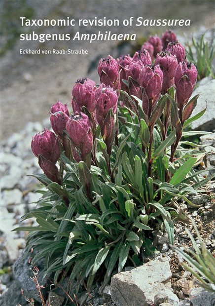 Taxonomic Revision of Saussurea Subgenus Amphilaena (Compositae, Cardueae)