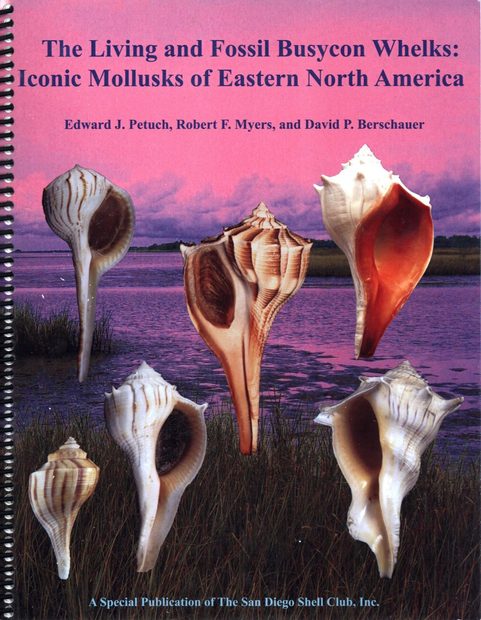 The Living and Fossil Busycon Whelks