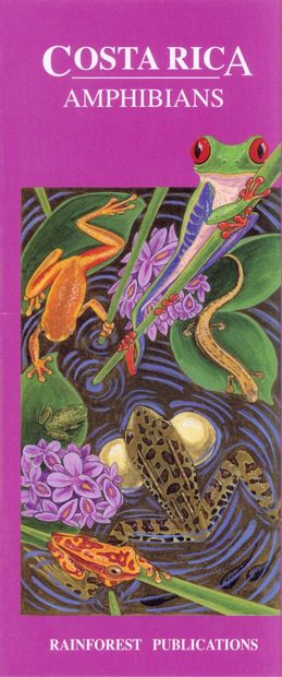 Costa Rica: Amphibians [English / Spanish]