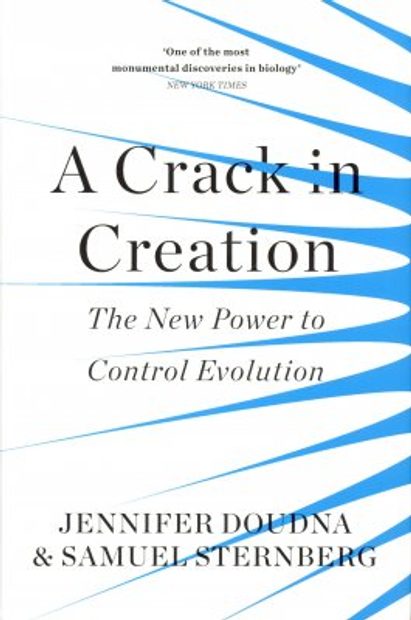 A Crack in Creation