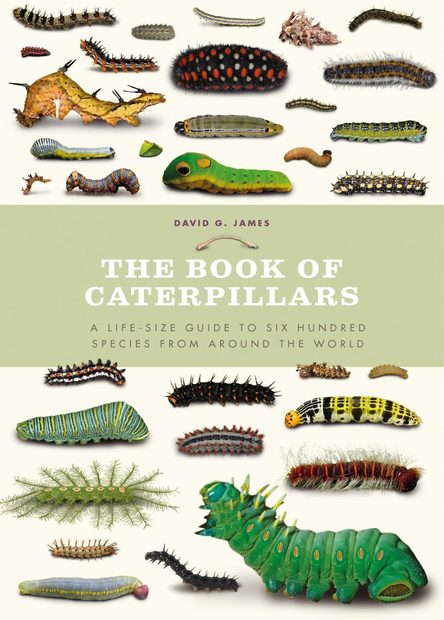 The Book of Caterpillars
