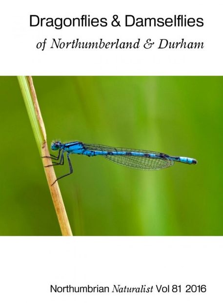 Dragonflies & Damselflies of Northumberland & Durham