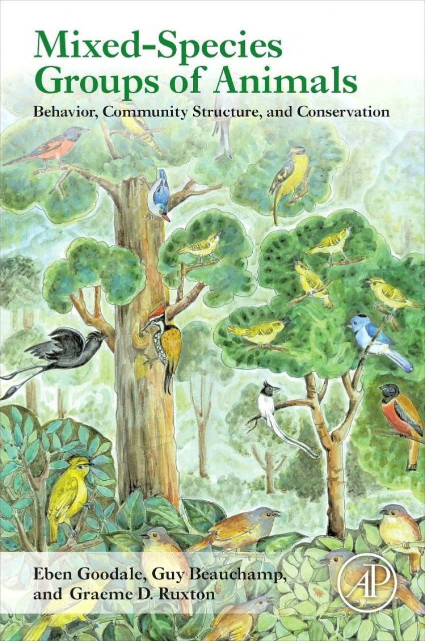 Mixed-Species Groups of Animals: Behavior, Community Structure, and  Conservation | NHBS Academic & Professional Books