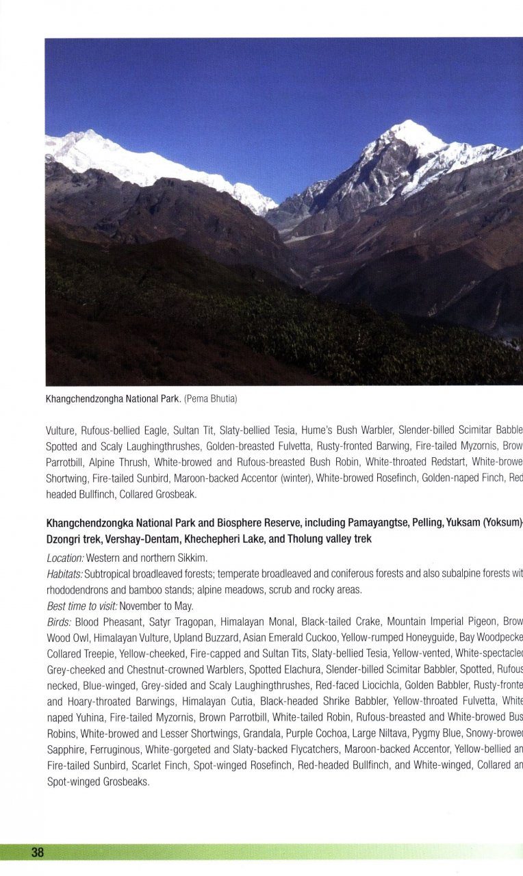 Birds of Bhutan and the Eastern Himalayas | NHBS Field Guides & Natural ...