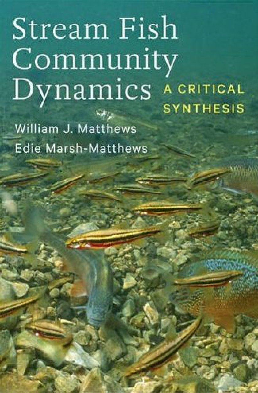 Community dynamics