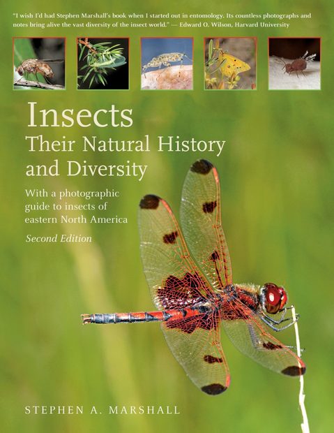Insects – Their Natural History and Diversity