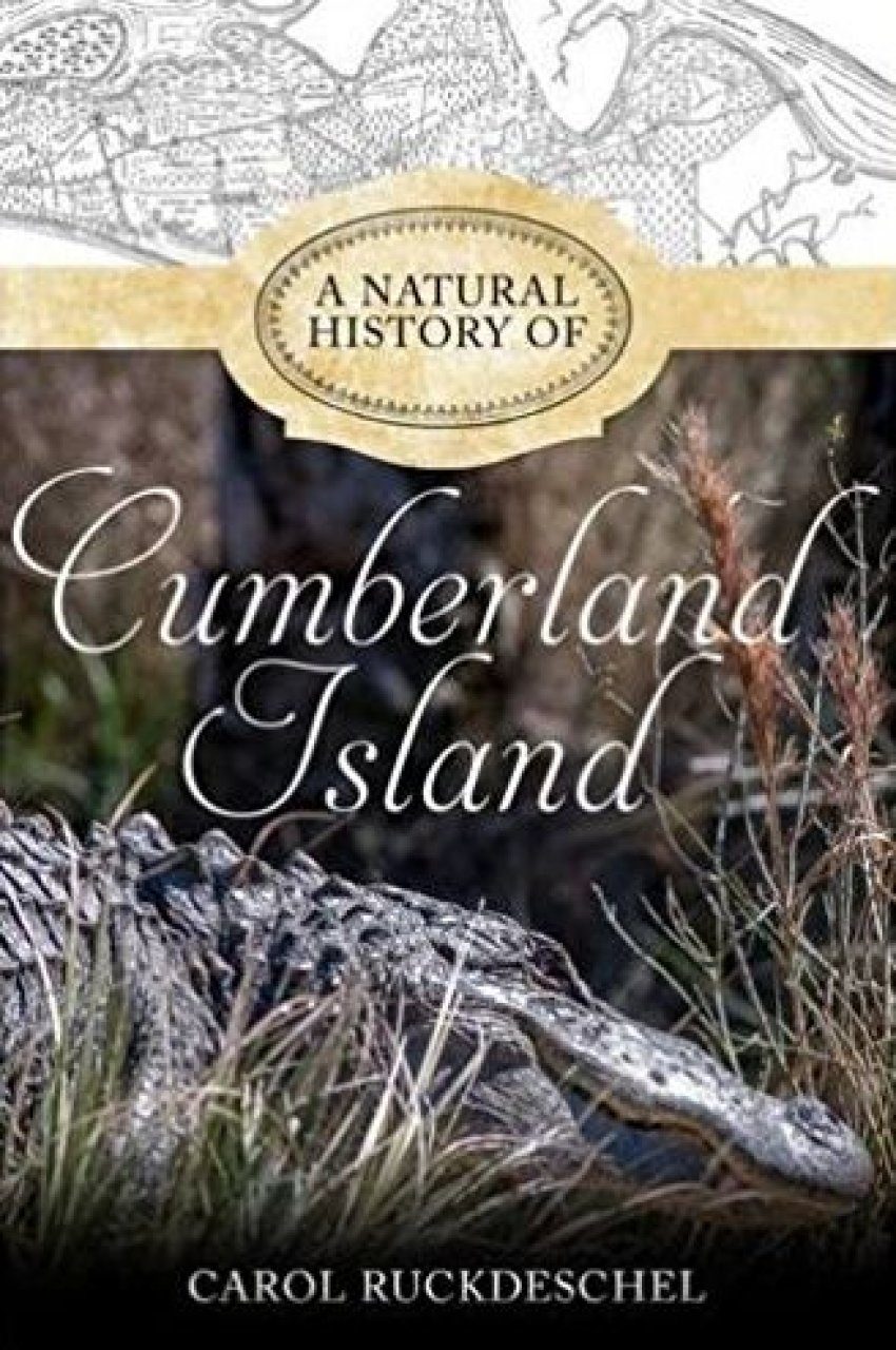 A Natural History of Cumberland Island, Georgia | NHBS Academic ...