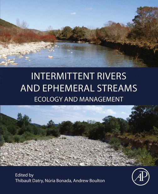Intermittent Rivers and Ephemeral Streams