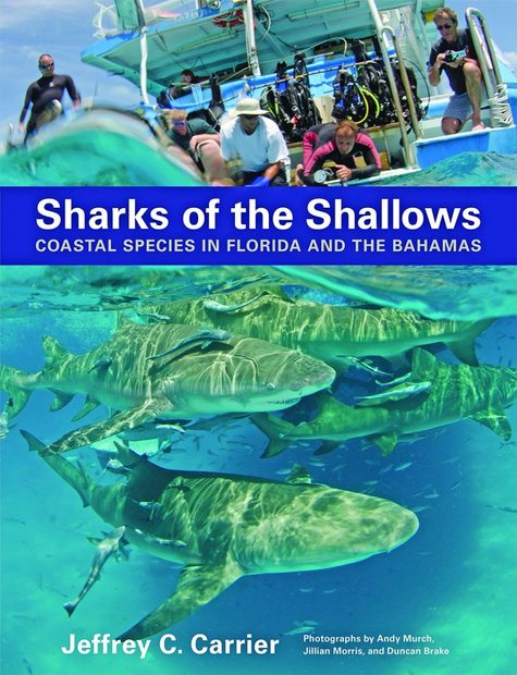 Sharks of the Shallows