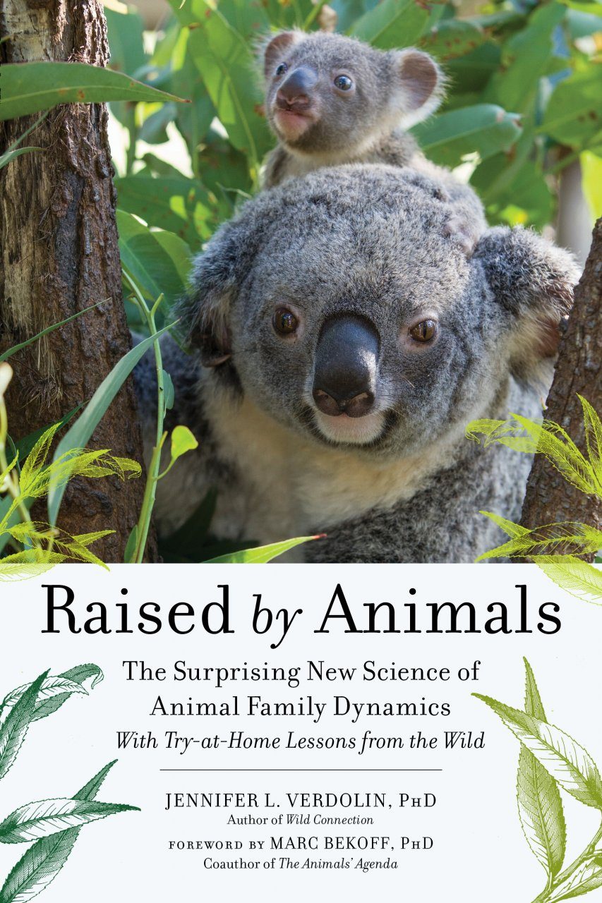 Raised by Animals: The Surprising New Science of Animal Family Dynamics |  NHBS Academic & Professional Books