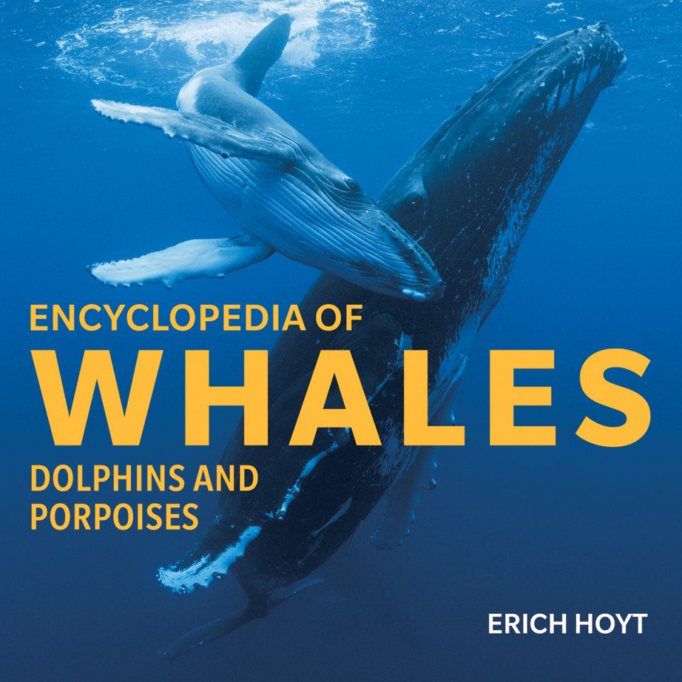 Encyclopedia of Whales, Dolphins and Porpoises | NHBS Academic ...
