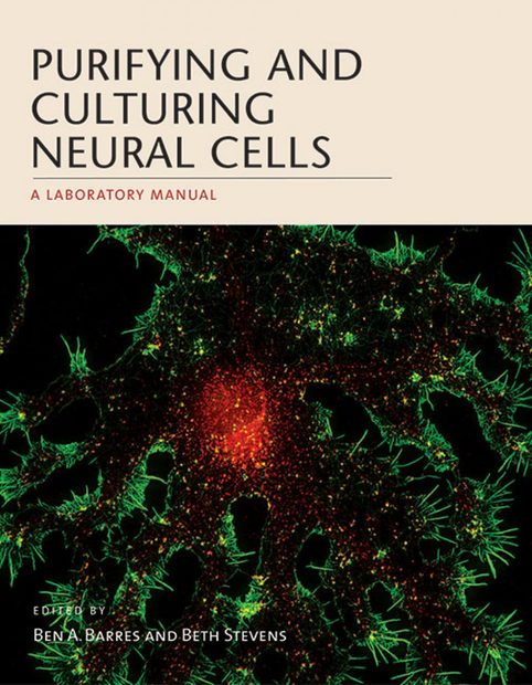 Purifying and Culturing Neural Cells