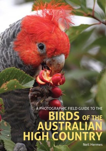 A Photographic Field Guide to the Birds of Canberra and the High Country