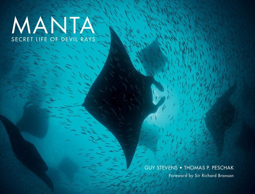 Manta