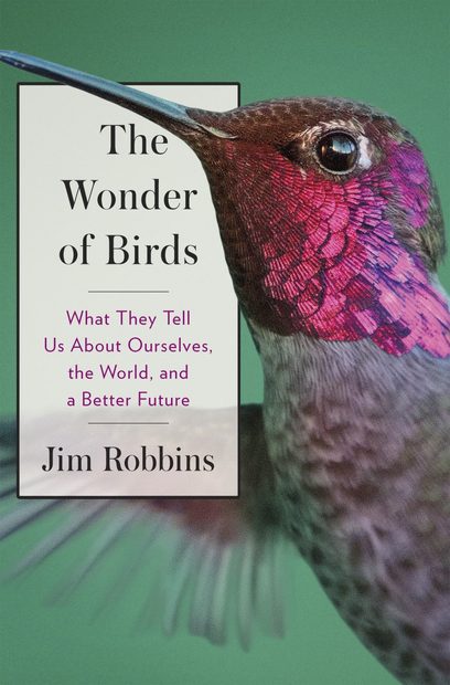 The Wonder of Birds