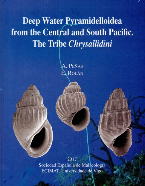 Deep Water Pyramidelloidea from the Central and South Pacific, Part 4: The Tribe Chrysallidini
