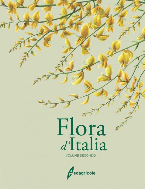 Flora d'Italia [Flora of Italy], Volume 2