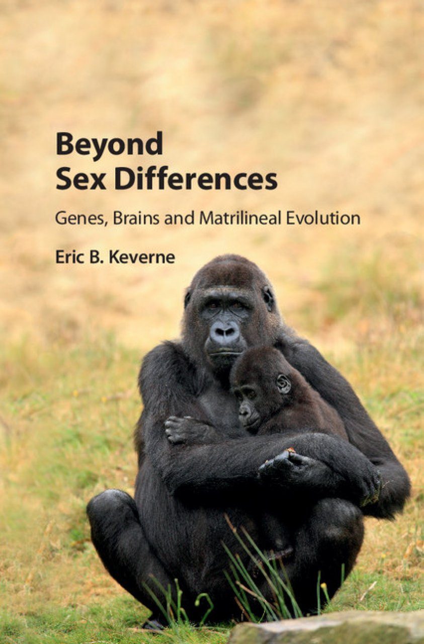 Beyond Sex Differences Genes Brains And Matrilineal Evolution Nhbs