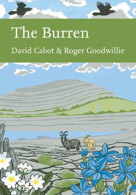 The Burren