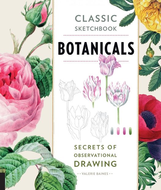 Classic Sketchbook: Botanicals