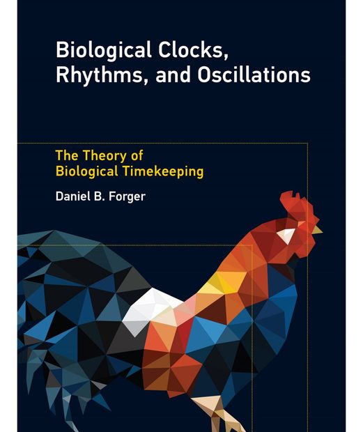 Biological Clocks, Rhythms, and Oscillations