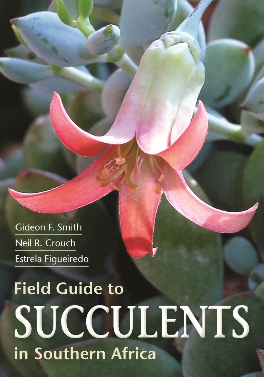 Guide To Succulents Of Southern Africa