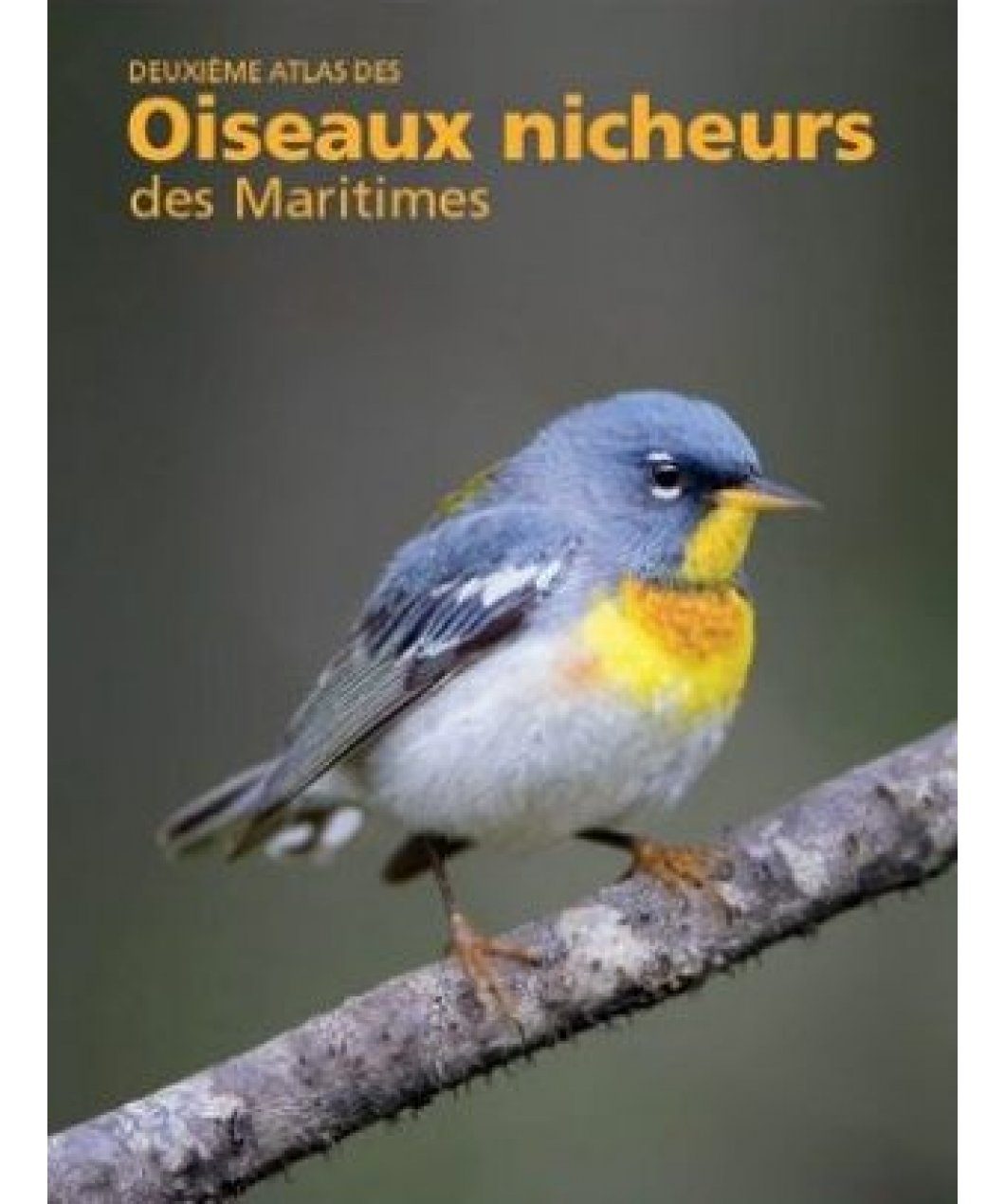 Deuxième Atlas de Oiseaux Nicheurs des Maritimes | NHBS Academic ...