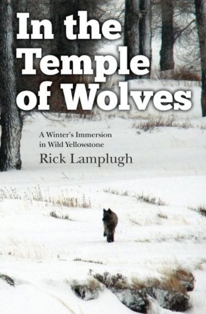 In the Temple of Wolves
