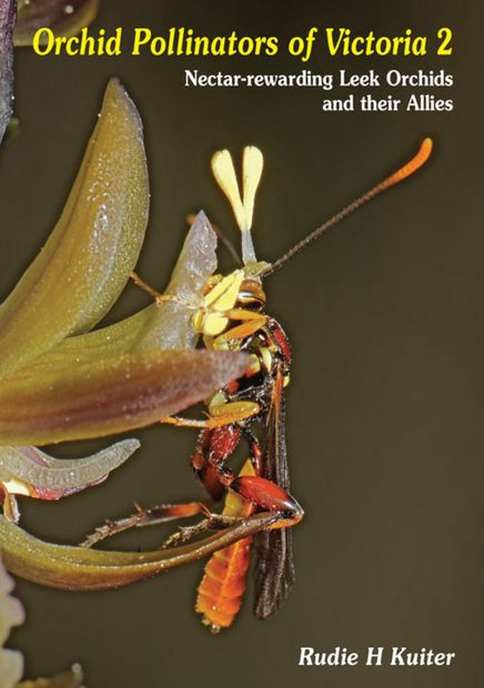 Orchid Pollinators of Victoria 2