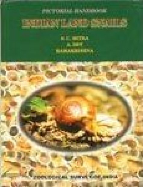 Faunal Diversity of Saipung Wild Life Sanctuary