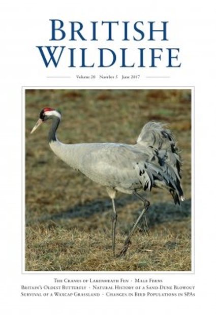 British Wildlife 28.5 June 2017