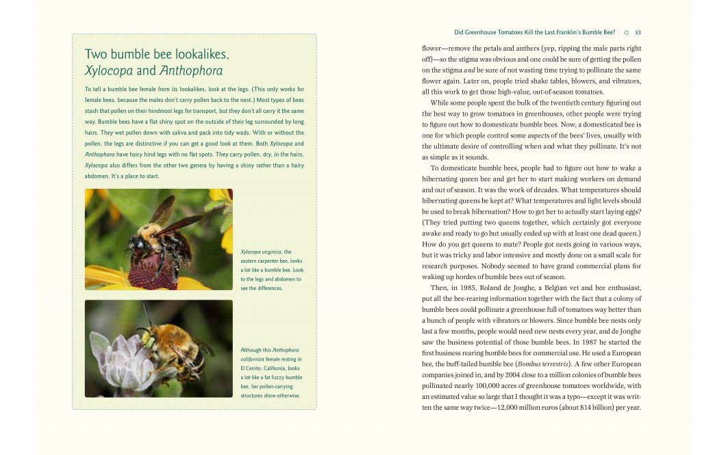 Our Native Bees | NHBS Academic & Professional Books