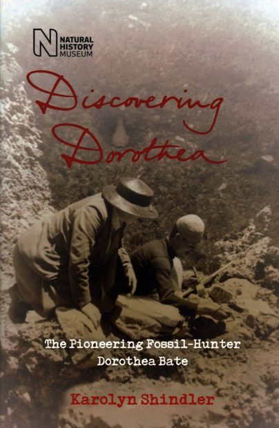 Discovering Dorothea