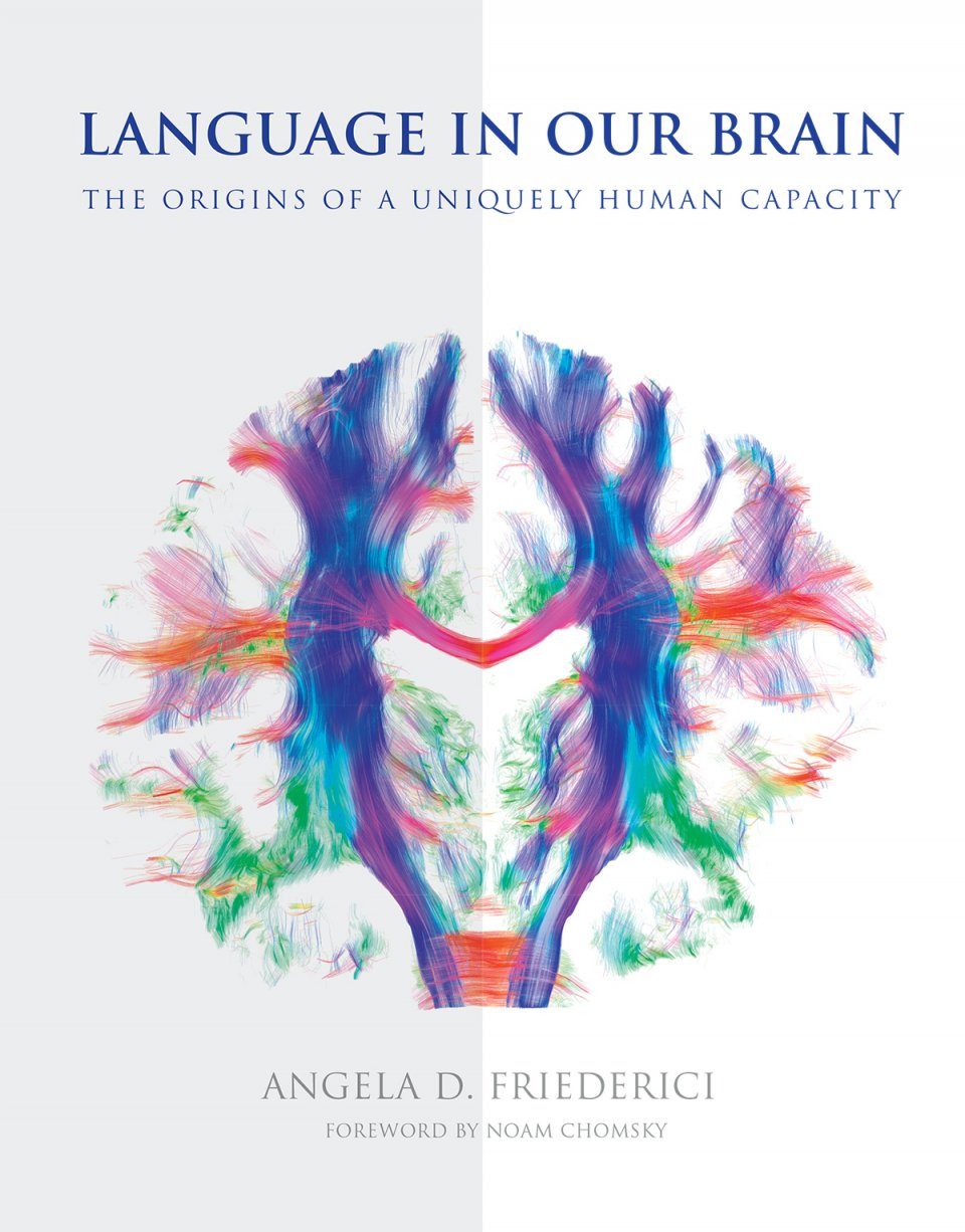 БИОПСИХОЛОГИЯ книги. Music, language, and the Brain. Human capability