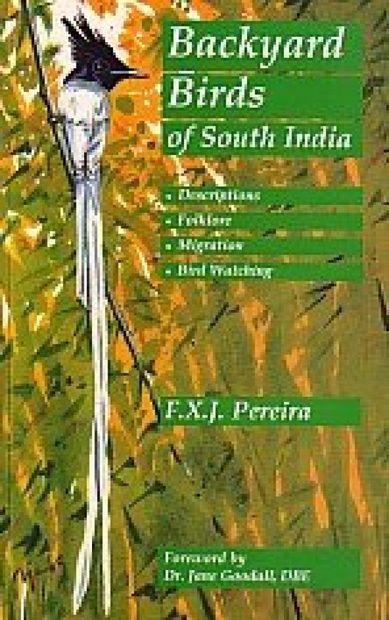 Backyard Birds of South India