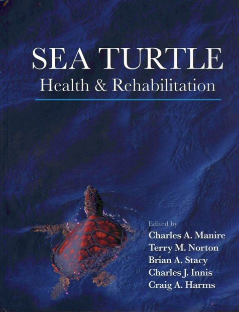 Sea Turtle Health & Rehabilitation