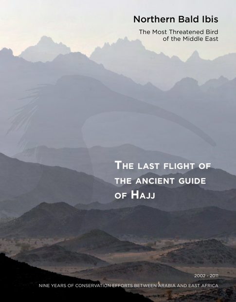 The Last Flight of the Ancient Guide of Hajj