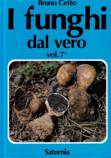I Funghi dal Vero, Volume 7