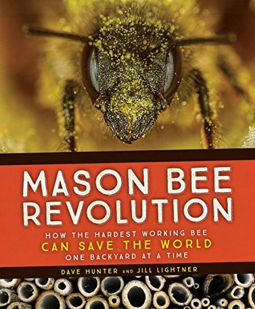Mason Bee Revolution