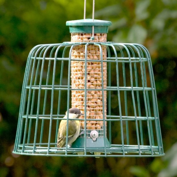 Guardian Peanut Feeder 